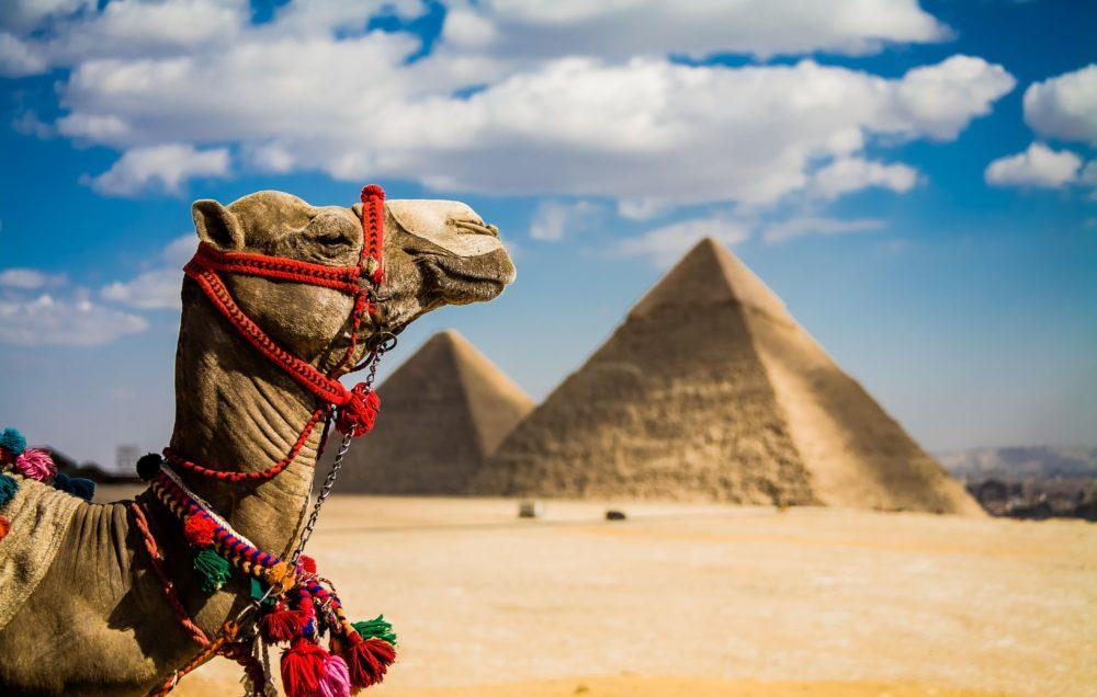 Роскошь Египта: «люксовый» отдых на берегу Красного моря