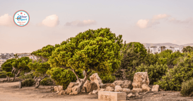 Кипр – остров, где наслаждаешься жизнью