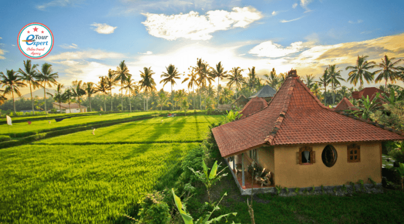 Убуд – целительная и духовная магия Бали