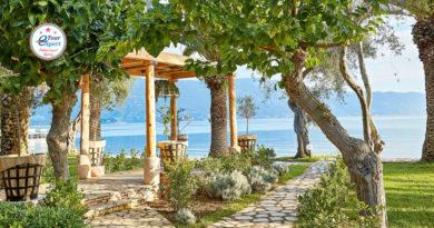 Остров Корфу: зеленый, пушистый, звездный